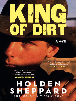 cover image of King of Dirt